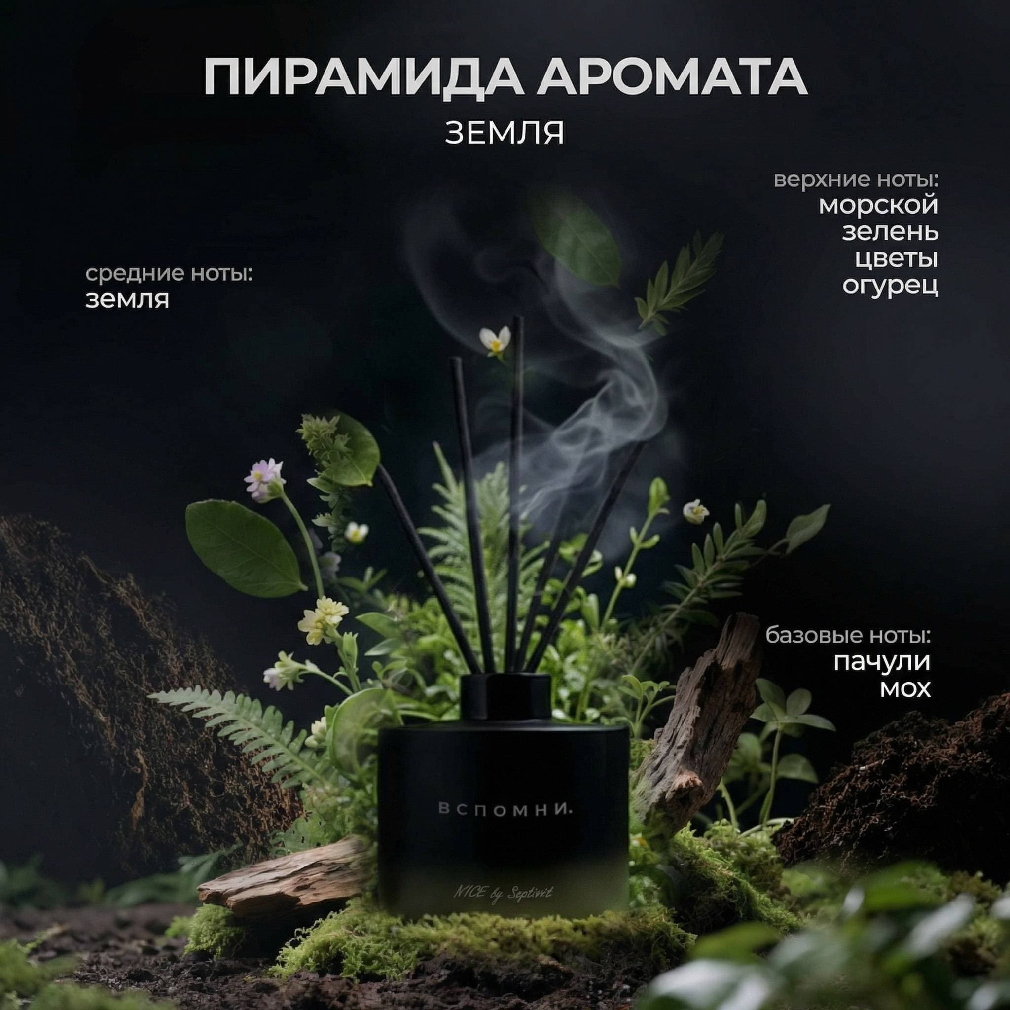 Диффузор для дома с палочками Земля после дождя